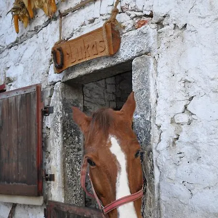 Séjour à la ferme Tichy Mlyn Pelhřimov